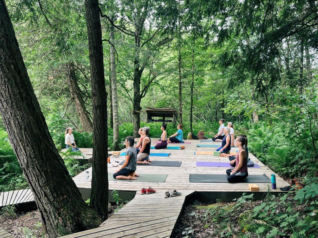 Yoga platform De Schans Yoga platform De Schans