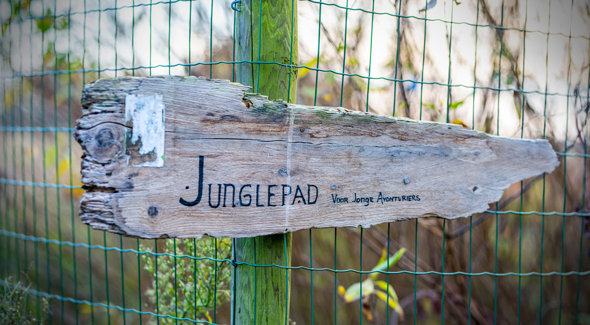 Junglepad