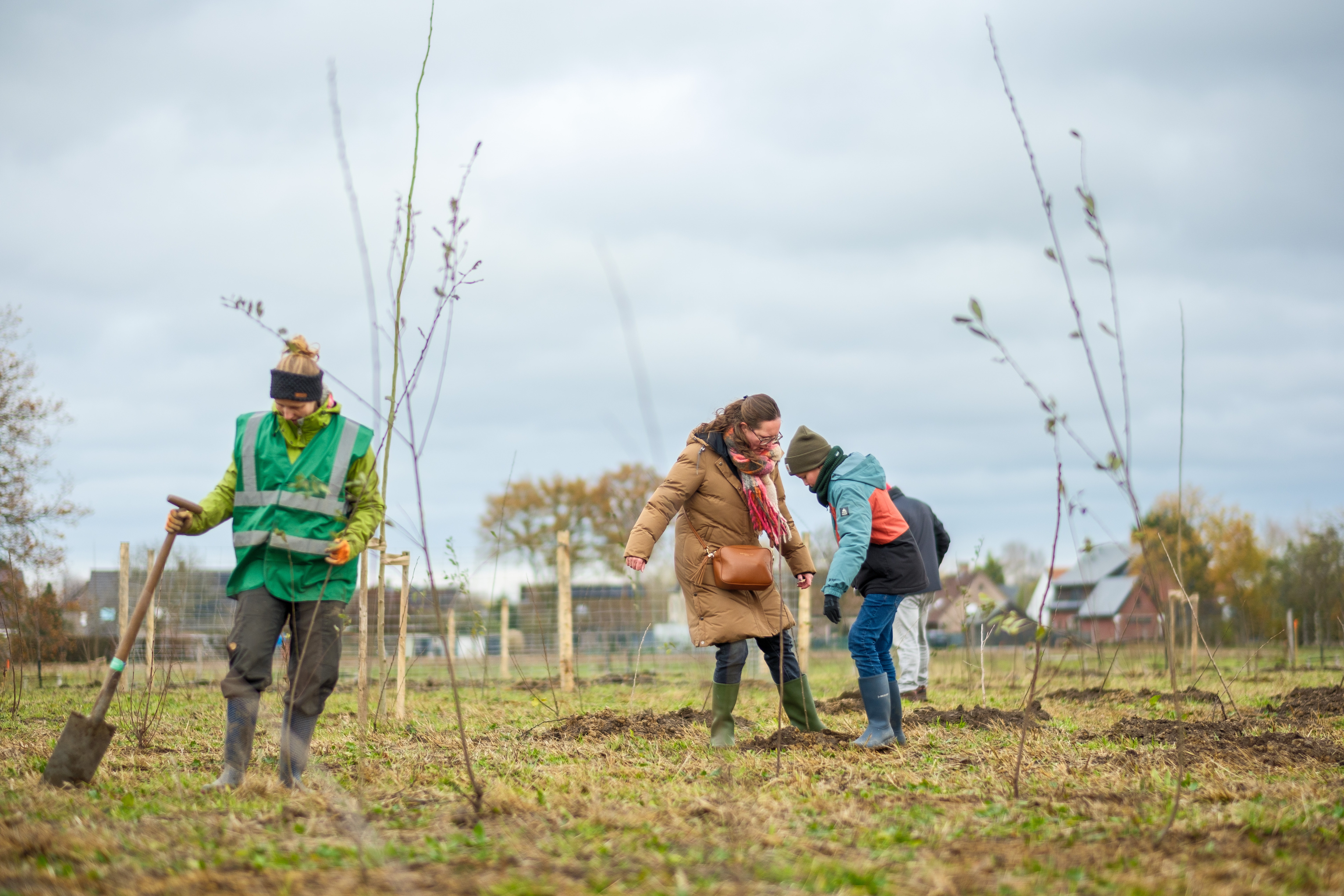 steenbossen breendonk