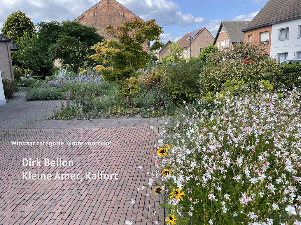 Winnende tuin PSA in de bloemen Winnende tuin PSA in de bloemen