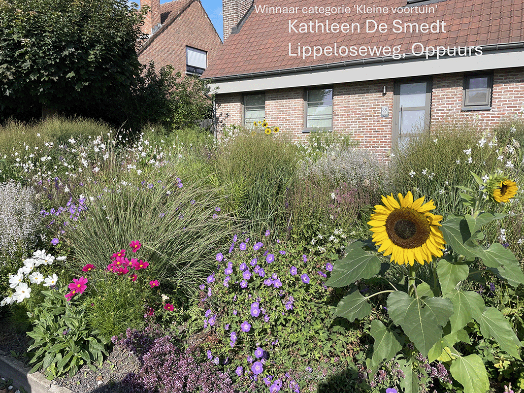 Winnende tuin PSA in de bloemen Winnende tuin PSA in de bloemen