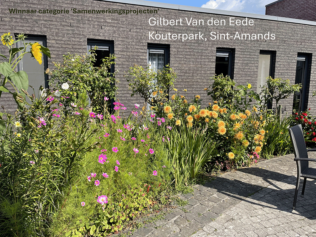 Winnende tuin PSA in de bloemen Winnende tuin PSA in de bloemen