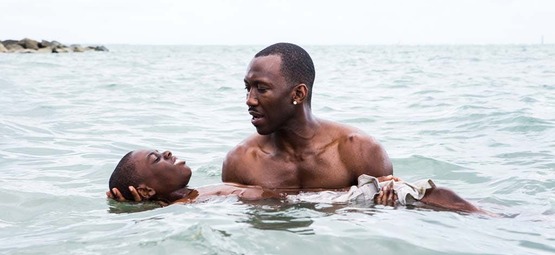 Lou Goossens programmeert Moonlight