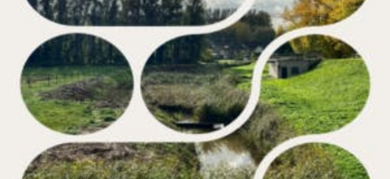 Ruisbroek onder water fotozoektocht doorheen Ruisbroek