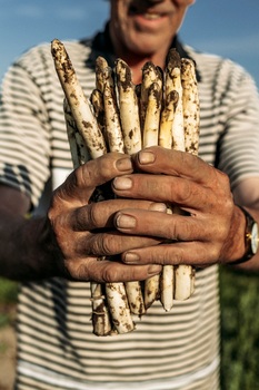 Asperges - Fam De Backer (78)
