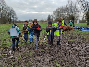 Plantactie Steenbossen