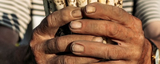Hof van Coolhem krijgt een aspergepunt