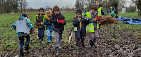 2.413 bomen voor de Steenbossen