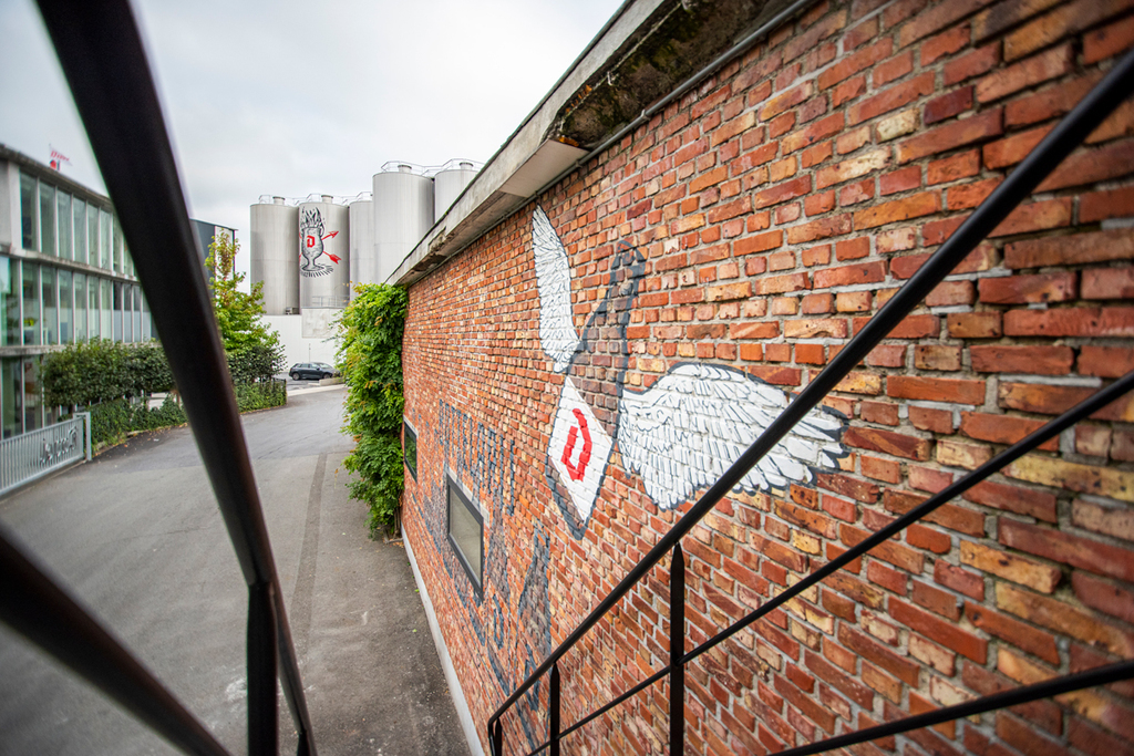 TG6_9301-PSA-Duvel-WEB