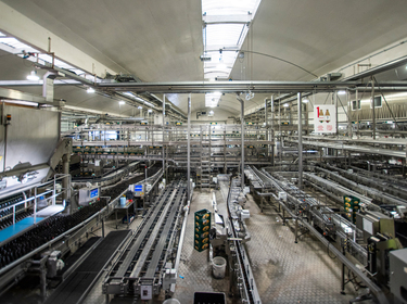 TG6_9270-PSA-Duvel-WEB