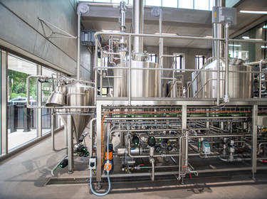 TG6_9342-PSA-Duvel-WEB