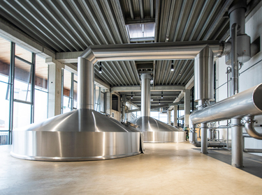 TG6_9398-PSA-Duvel-WEB