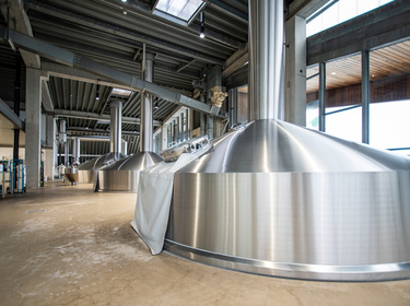 TG6_9409-PSA-Duvel-WEB