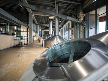 TG6_9413-PSA-Duvel-WEB