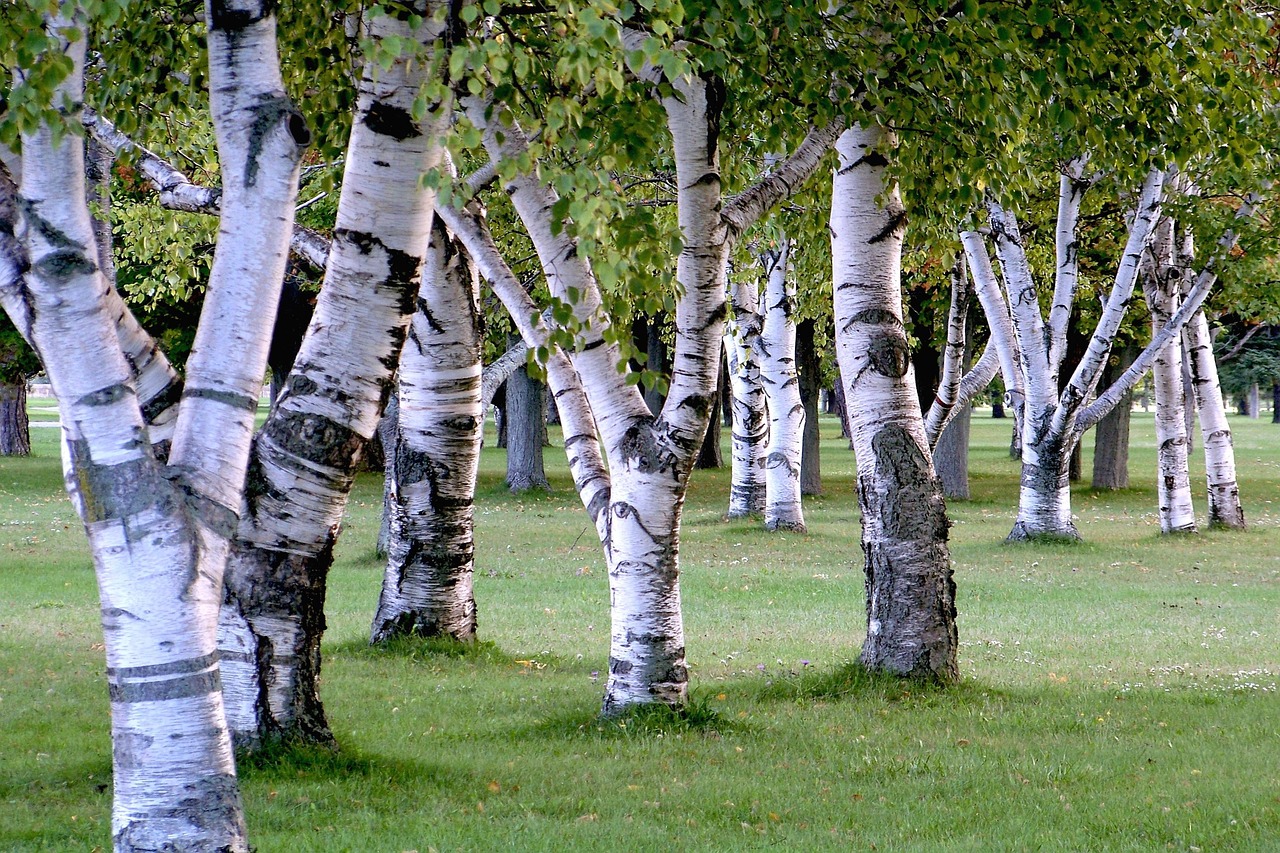 berken