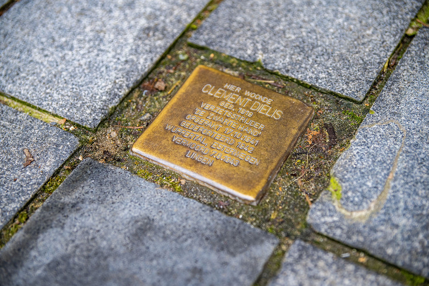 Struikelsteen Dielis