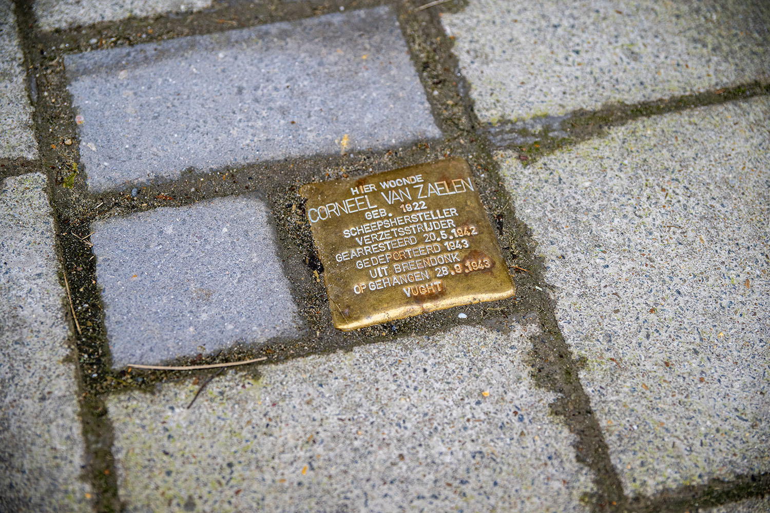 Struikelsteen Van Zaelen