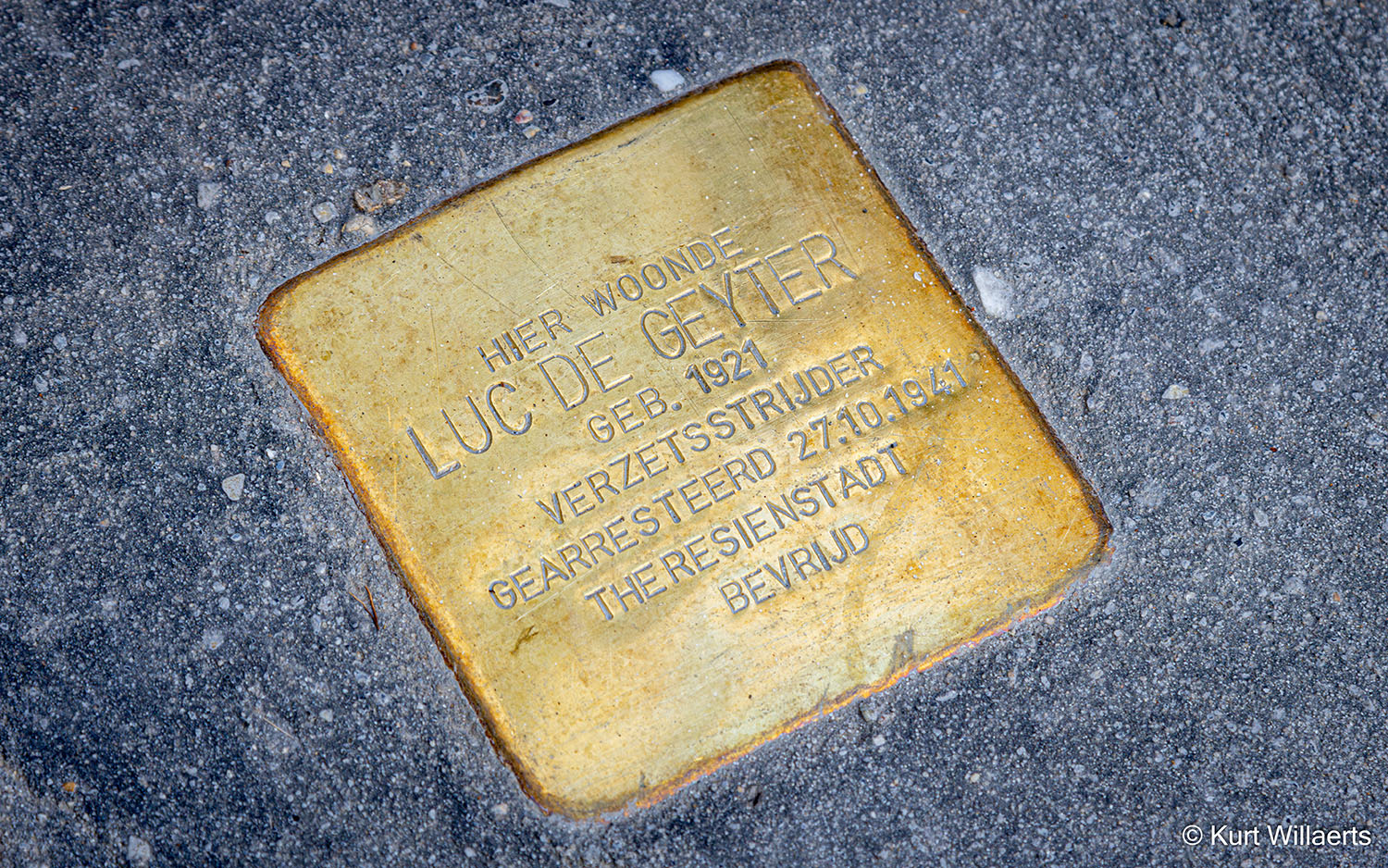 Struikelsteen De Geyter L