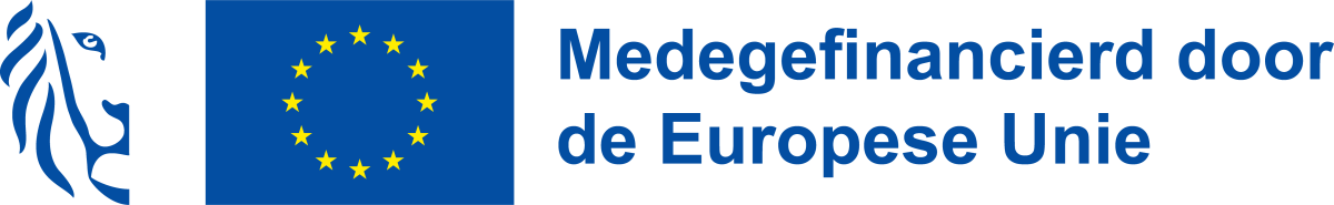 Logo medefinanciering Vlaanderen en Europese Unie