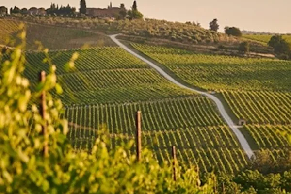 Wijnland Italië - Van noord naar zuid