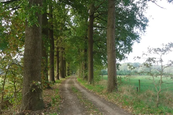 Trage Wegen wandeling: “Van pater tot Amer wandeling”