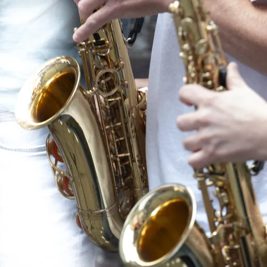 Proeflessen Academie voor Muziek en Woord Boom - Puurs