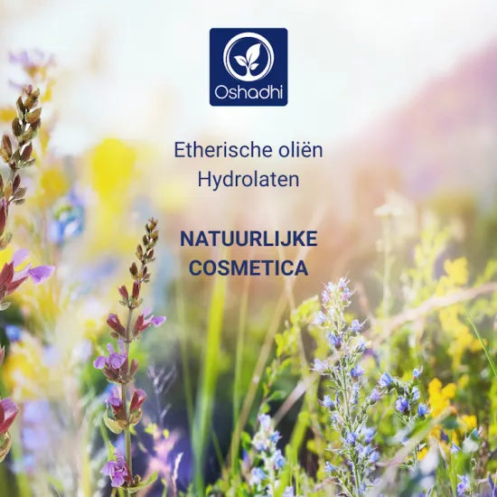 Workshop Natuurlijke Cosmetica Oshadhi
