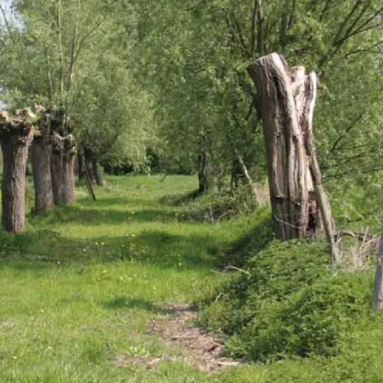 Natuurwandelingen Puurs-Sint-Amands
