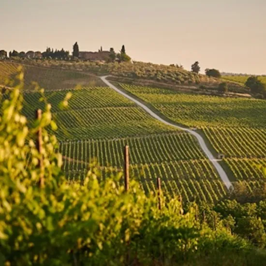 Wijnland Italië - Van noord naar zuid
