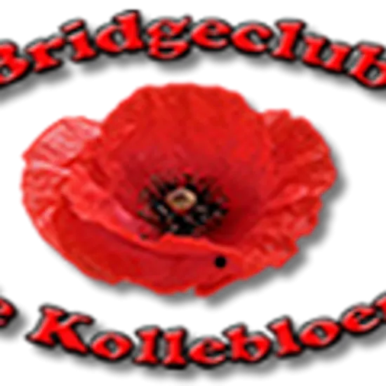 Bridgen, een uitdagend en boeiend kaartspel dat nooit verveelt.