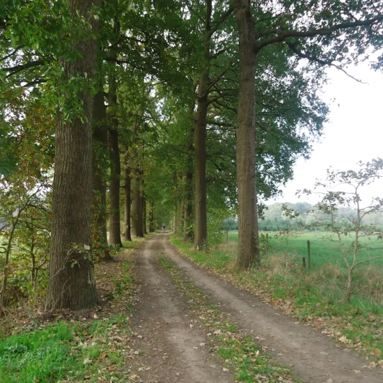 Trage Wegen wandeling: “Van pater tot Amer wandeling”