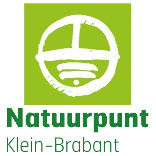 Nacht van de vleermuis in Lippelo
