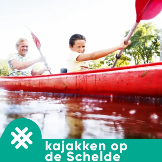 Kajakken op de Schelde