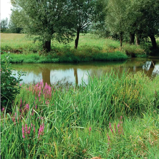 Fietsen langs vlasrootputten - 25 km