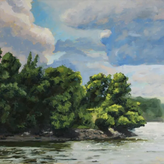 EXPO Menno Dierinck: 'Landschappen van de Scheldevallei'