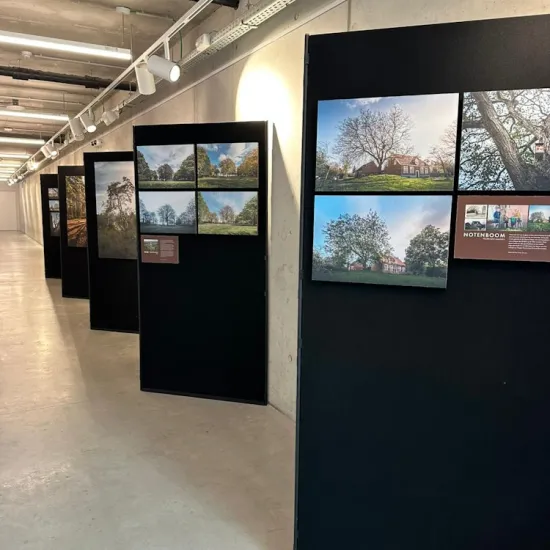 EXPO: "Ik hou(t) van erfgoed - Erfgoedbomen in beeld"