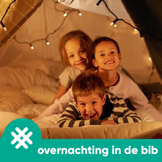 Overnachting in de bibliotheek
