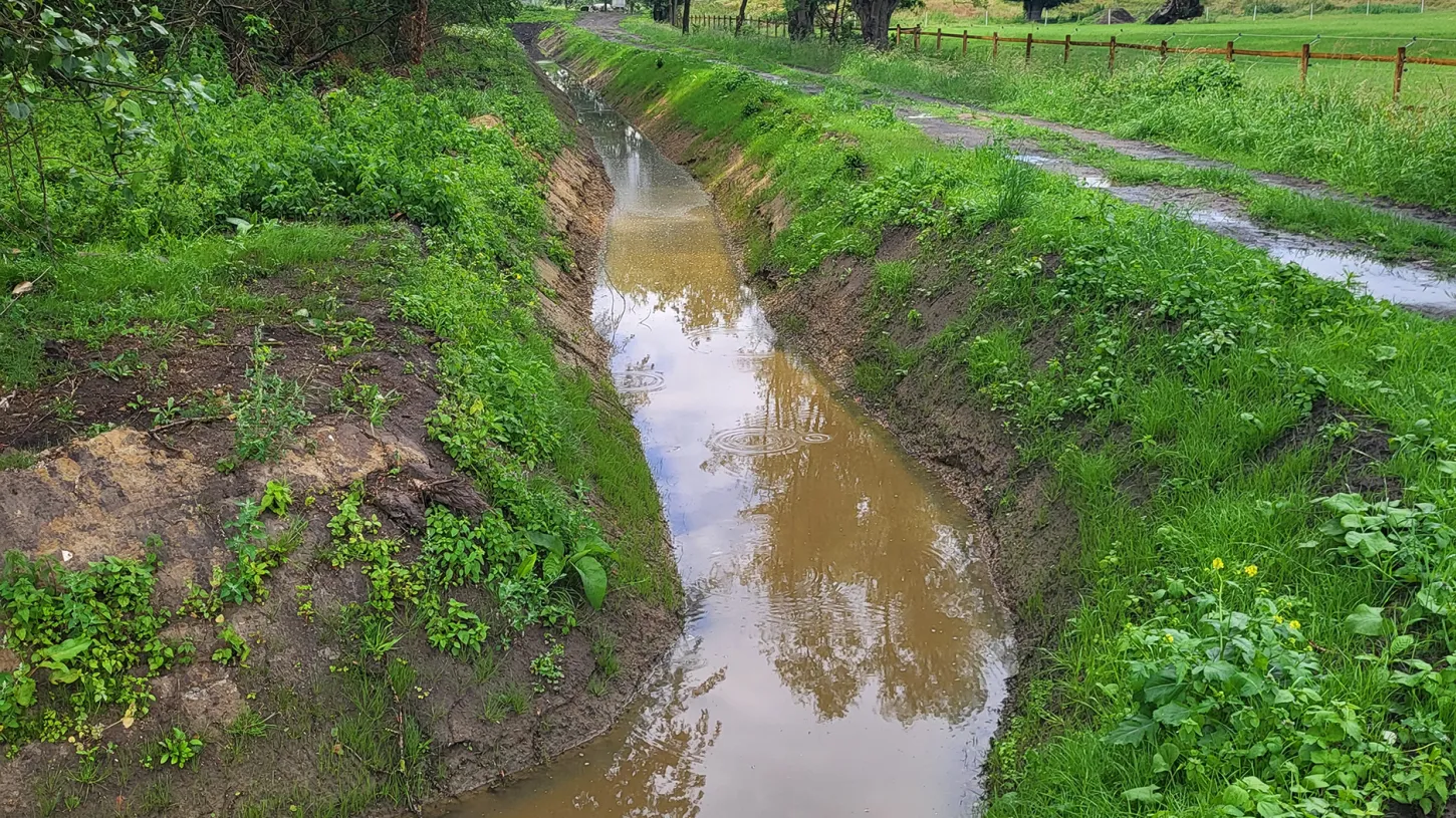 Waterbeleid