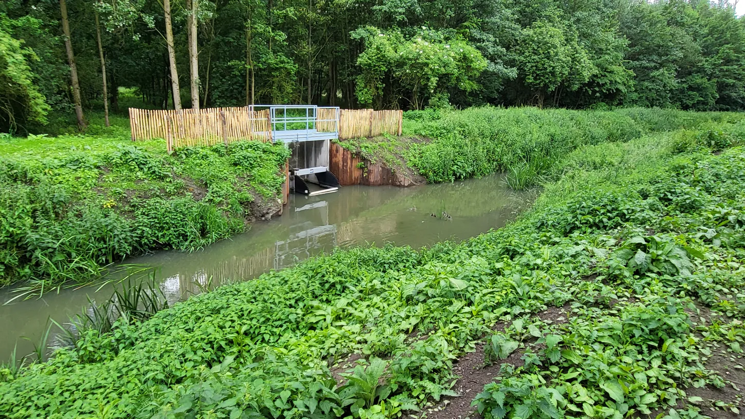 Waterbeleid