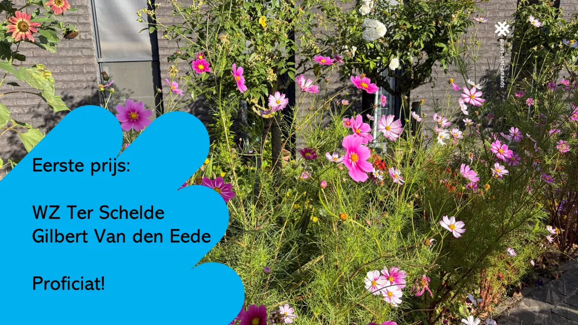 Samenwerkingsprojecten_1ste prijs